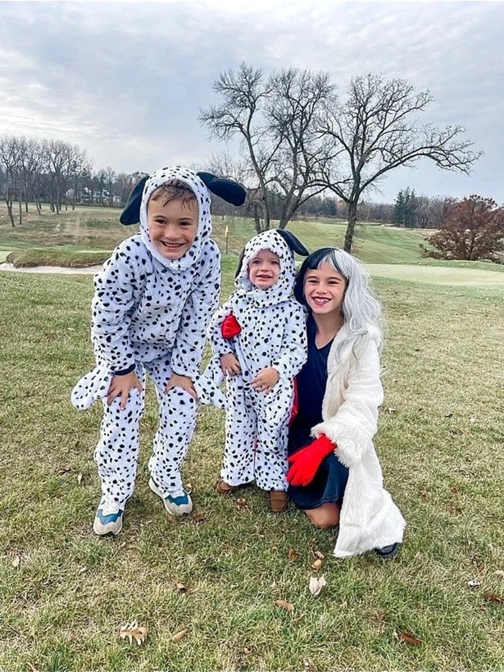 Toddler Dalmatian Costume 2-3T